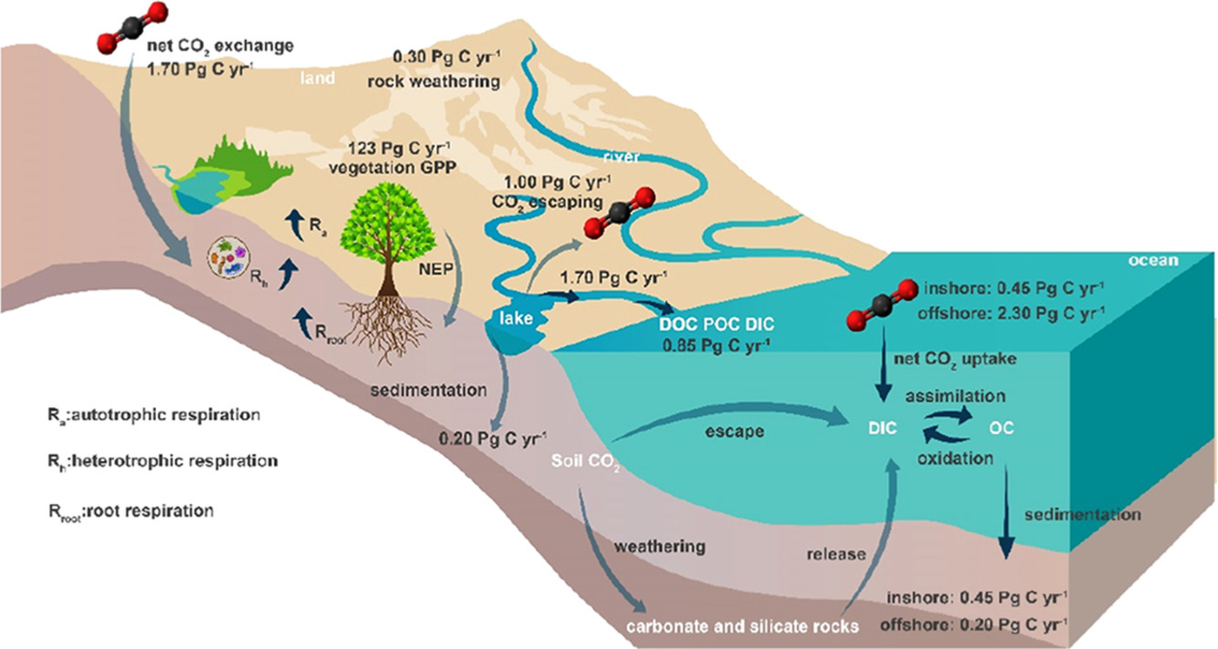 Windfall Bio Methanogenesis and the Global Carbon Cycle | Twynam